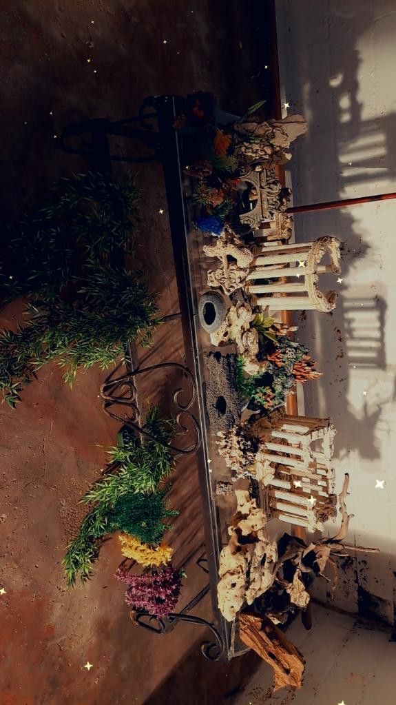 Aquarium Decor