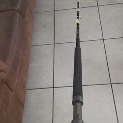 Fishing rod 