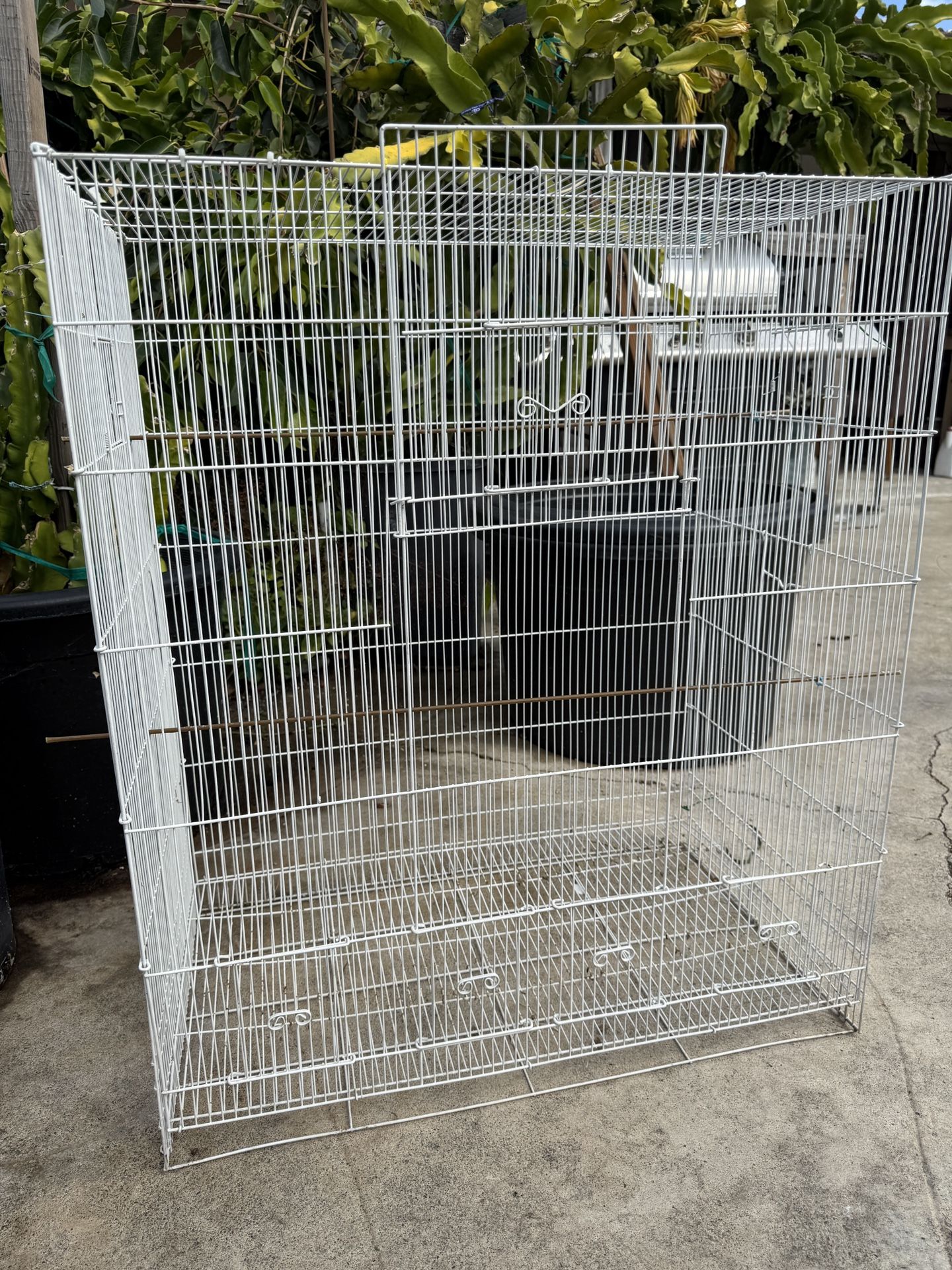 Big Bird Cage 
