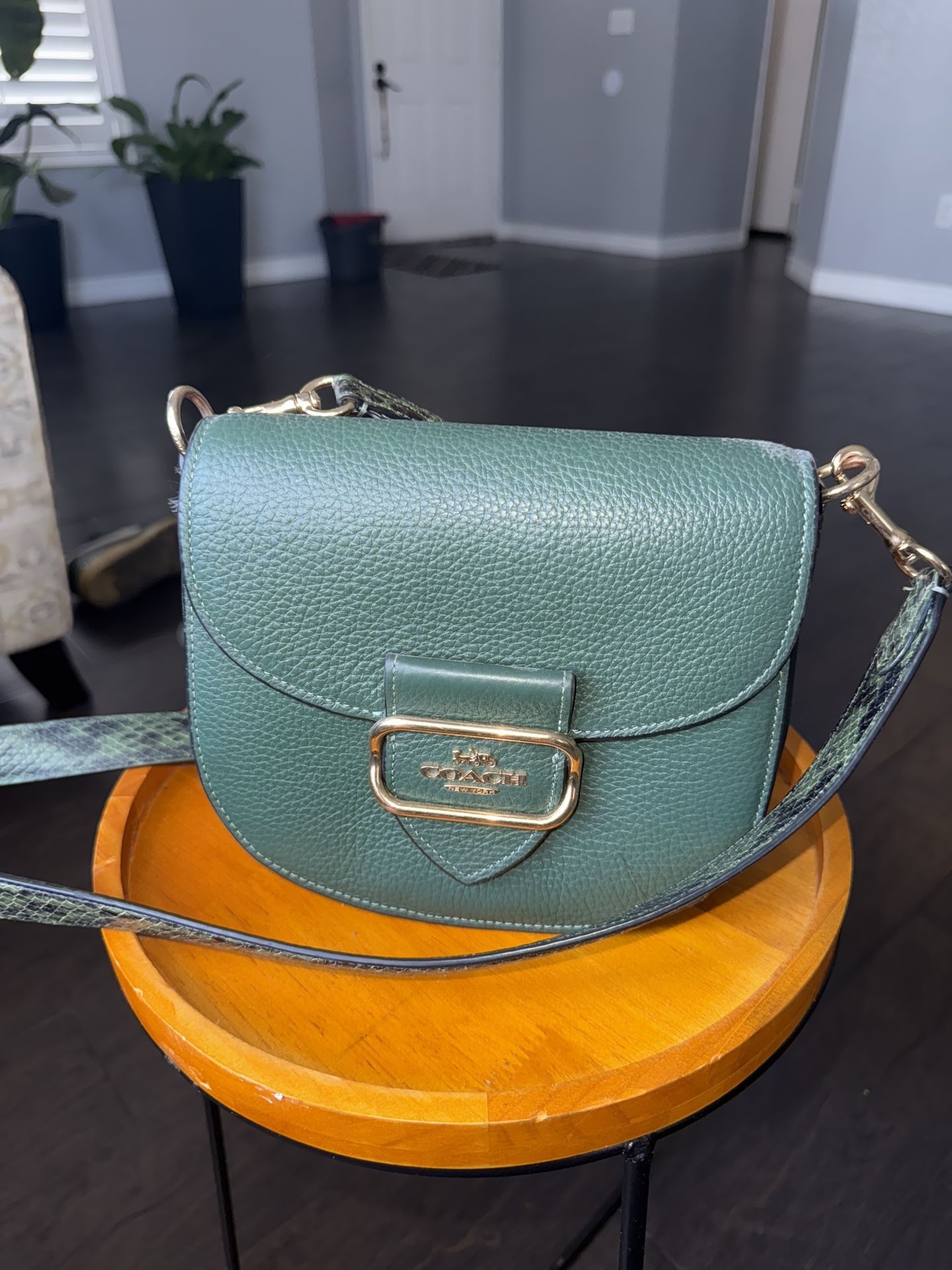 Coach Crossbody with Snakeskin strap -green
