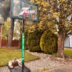 Rare 7up Branded Lifetime Basketball Hoop