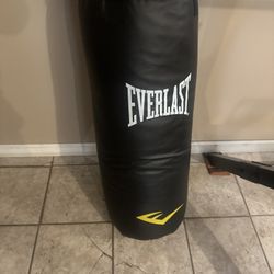 Everlast Punching Bag