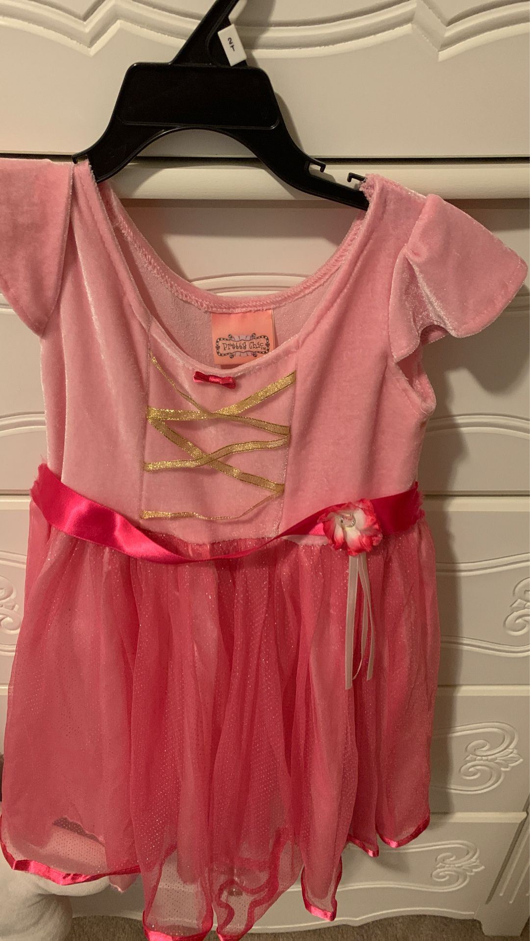 Girl princess costume