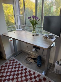 Electrical Standing Desk