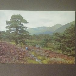 Scottish Glen Affric Inverness-shire Landscape Scotland J. Arthur Dixon Unused Postcard Post Card Vintage Collectible PC