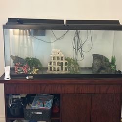 Fish Tank And Table 