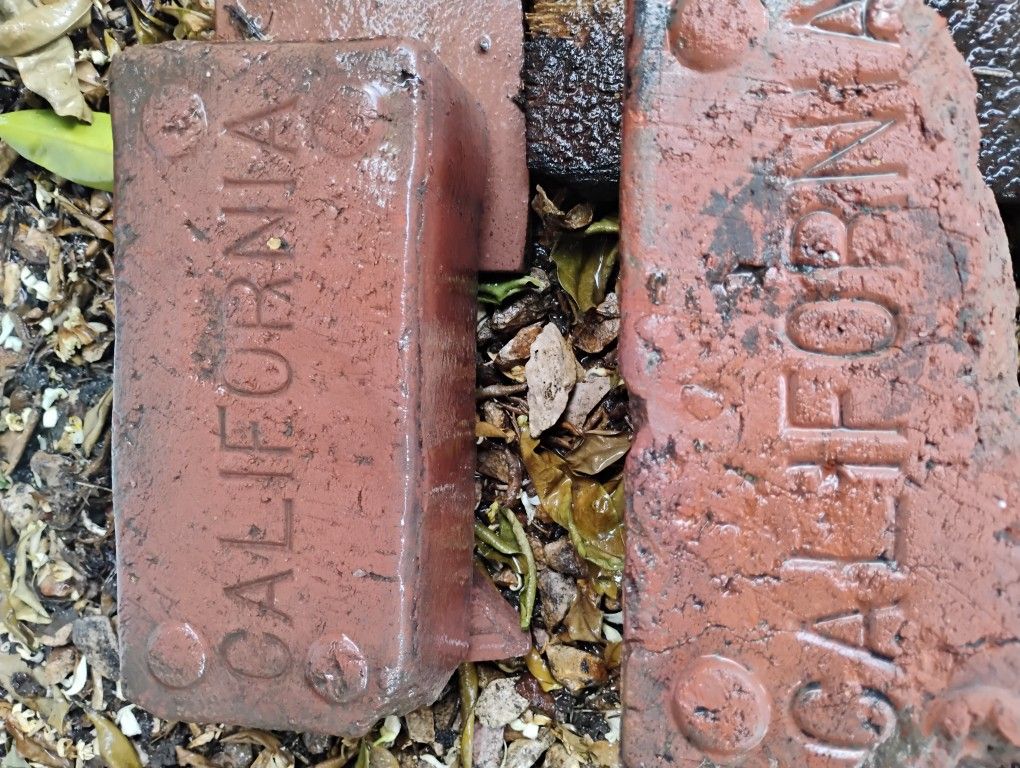 1800s California Bricks