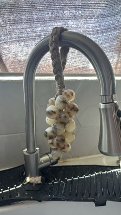 Soap