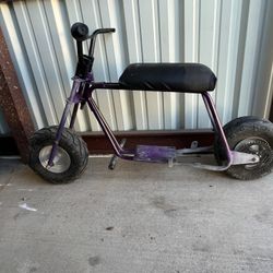 Roller Minibike 