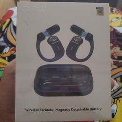 Wireless Earbuds 
