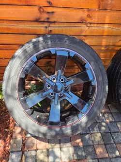 Rines 22"
