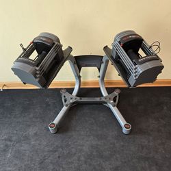 50lb Each Powerblocks Sport Exp with Stand