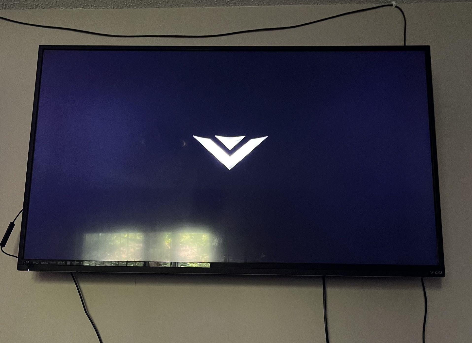Vizio TV (55 Inch)