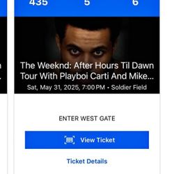 1 Weeknd Ticket Sat MAY 31ST chicago