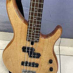 Bass Guitar