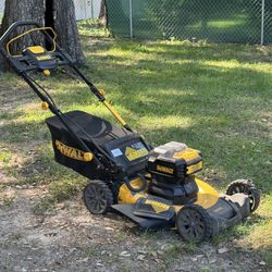 Dewalt 2x20 