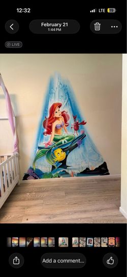 Hand painted commercial and residential murals