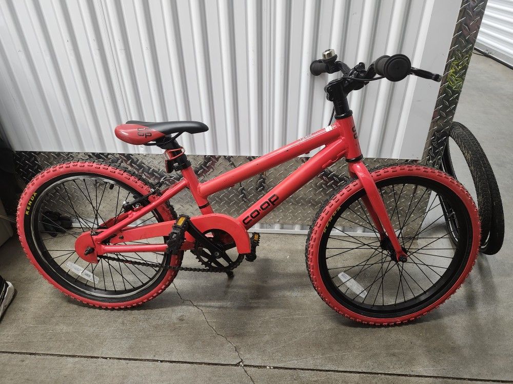 REI REV 20 Kids Bike