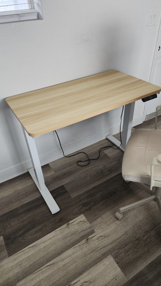 desk and chair, pretty nice condition. 