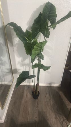 Fake plant 5ft