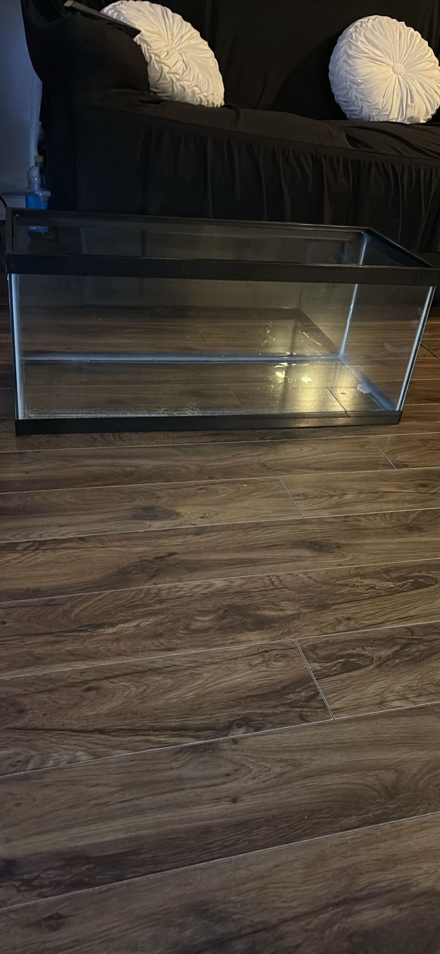 20 Gallon Long Tank