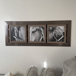 Horse Frame Picture