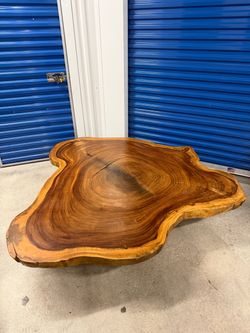 Live Edge Suar Wood Slab Coffee Table Rustic Round Tree Slice 73x72" Tabletop