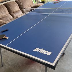 Ping Pong Table 