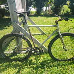 Single speed fixie