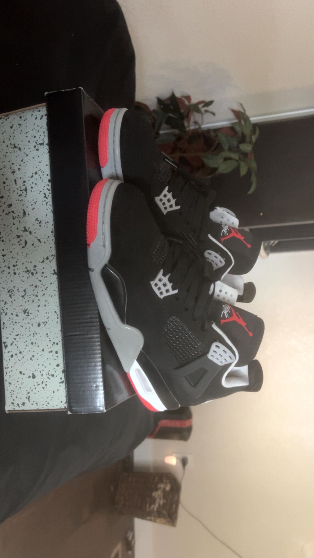 Jordan 4 Bread