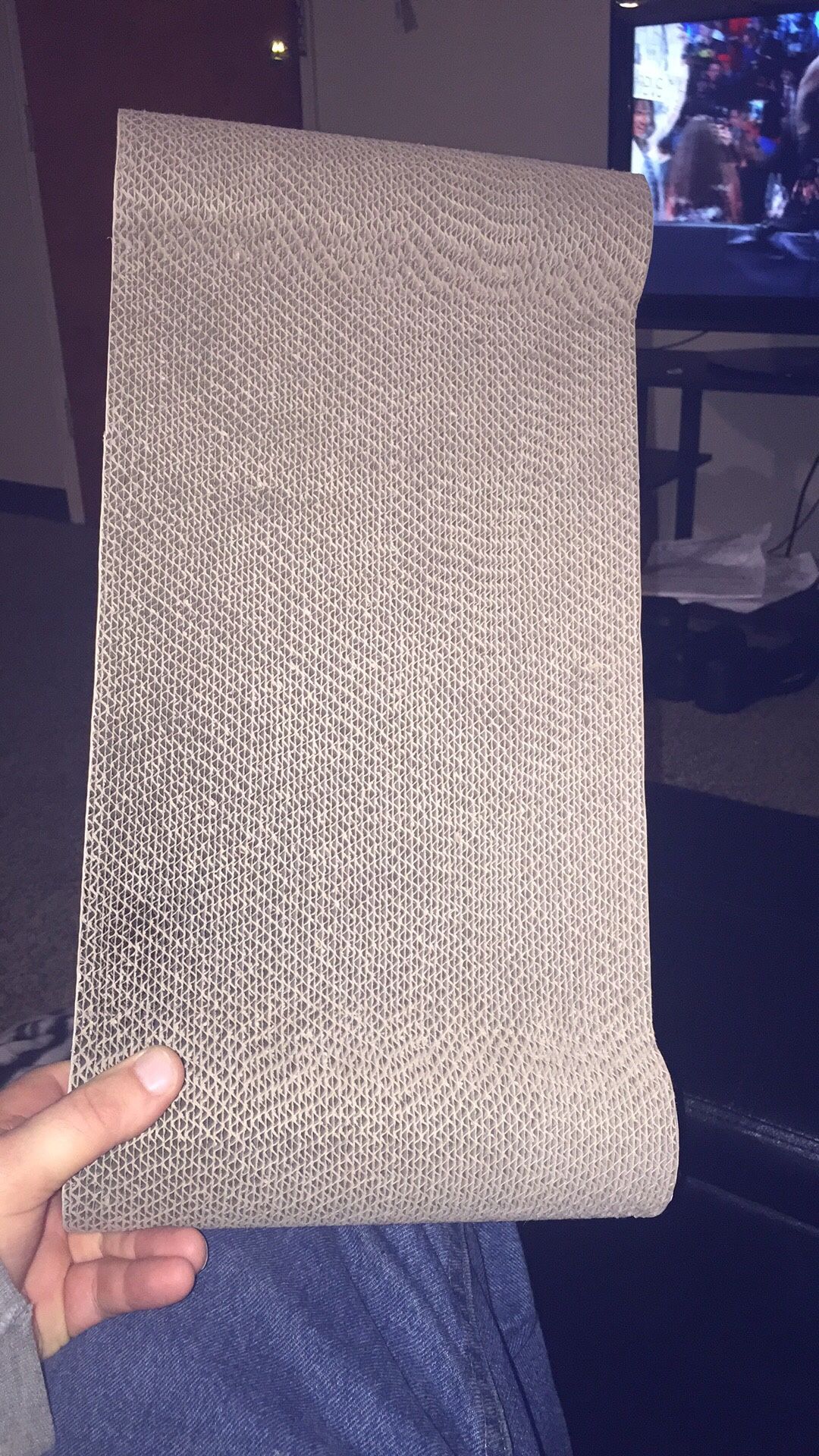 Cat Scratch Board
