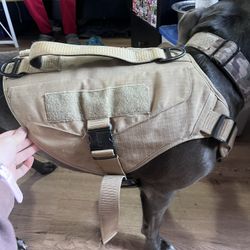 XL kong dog harness