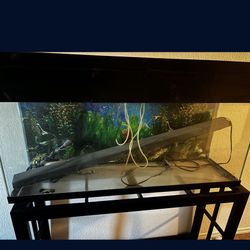 Fish Tank W/ Stand