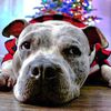 Ellie