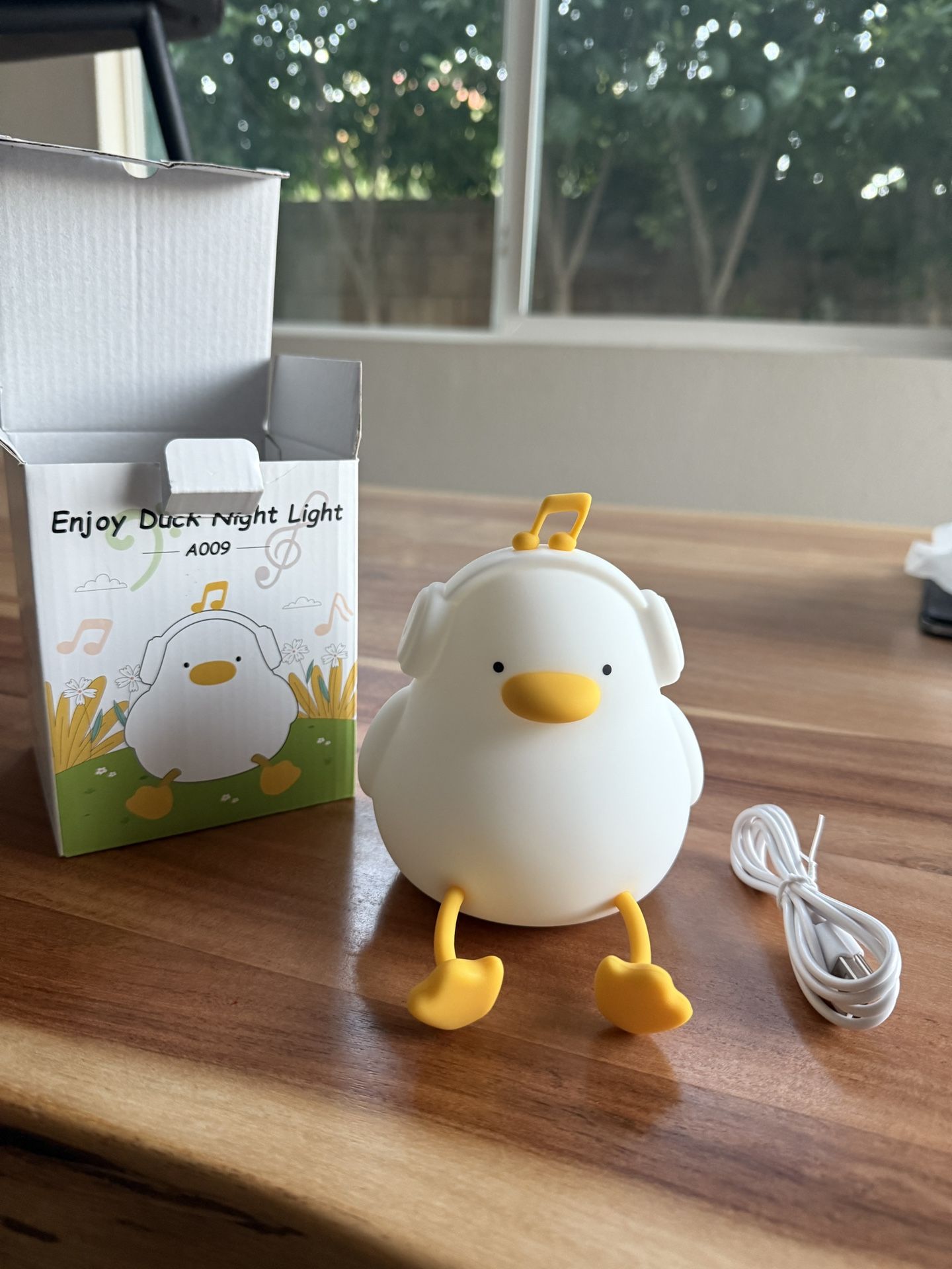 Duck Night Light