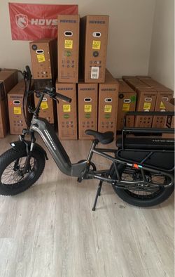 Trekcraze all terrain cargo e-bike carrying two toddler