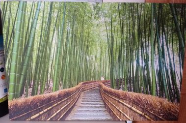 Bamboo Pathway Multi Panel Canvas Wall Art