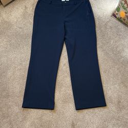 Size 18 Navy Blue Slacks