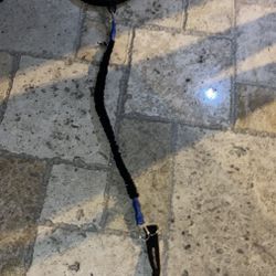 Iron Neck Training System