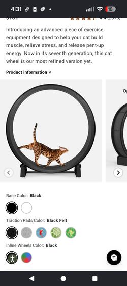Fast Cat Wheel. City of Orange 🍊