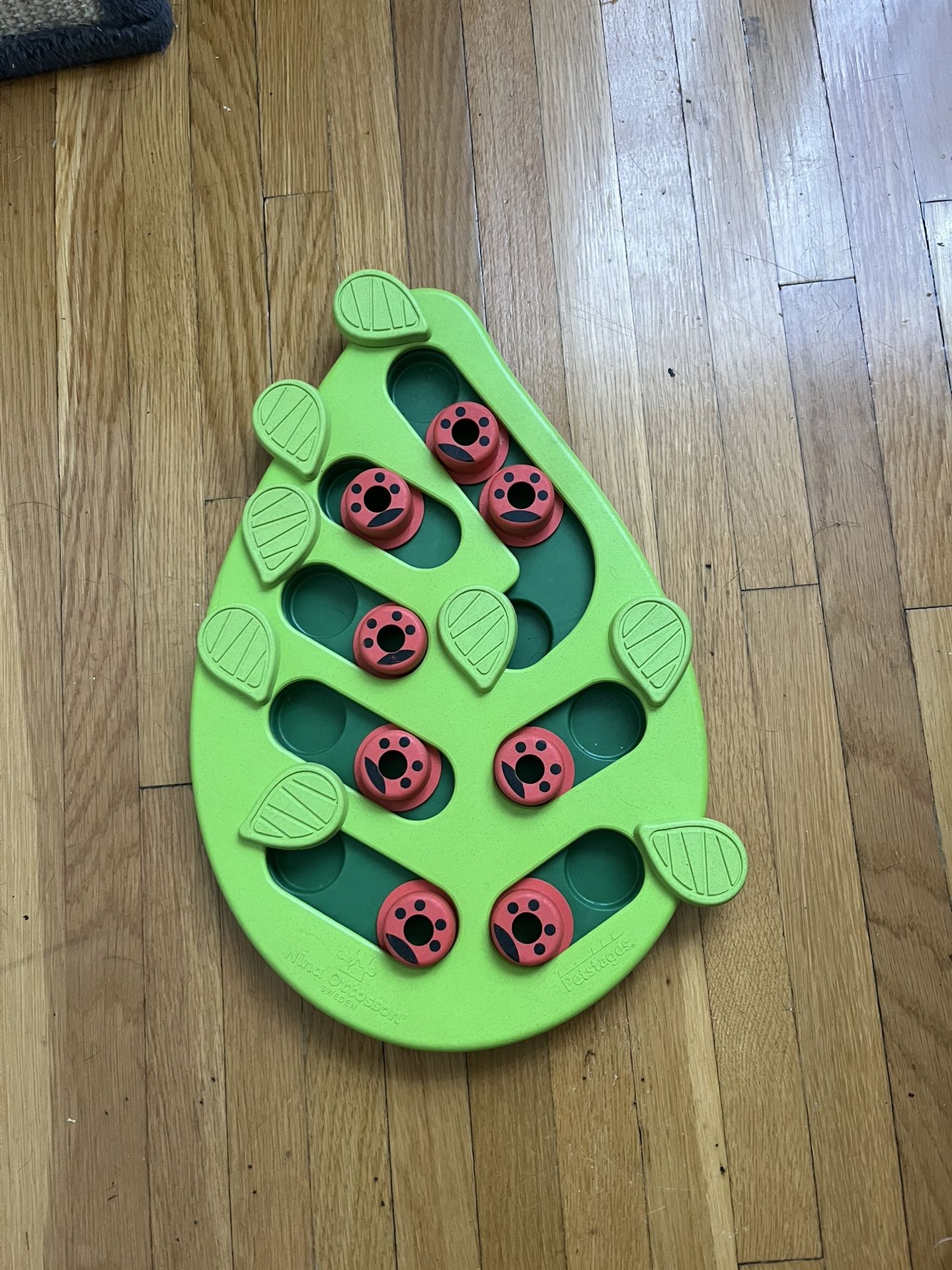 Treat Puzzle Toy