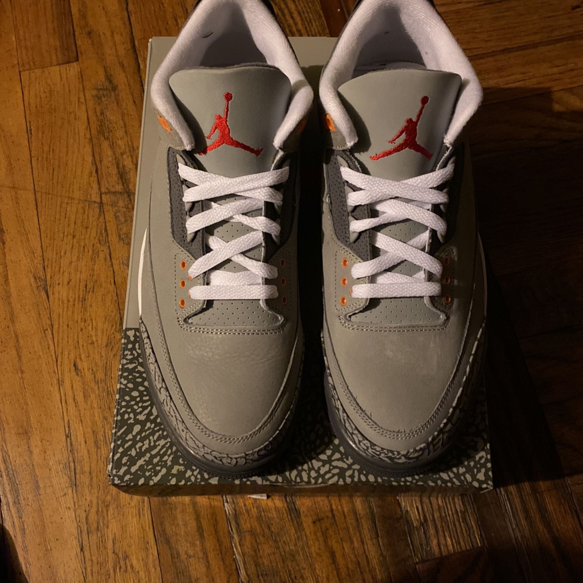 Air Jordan Cool Grey 3s