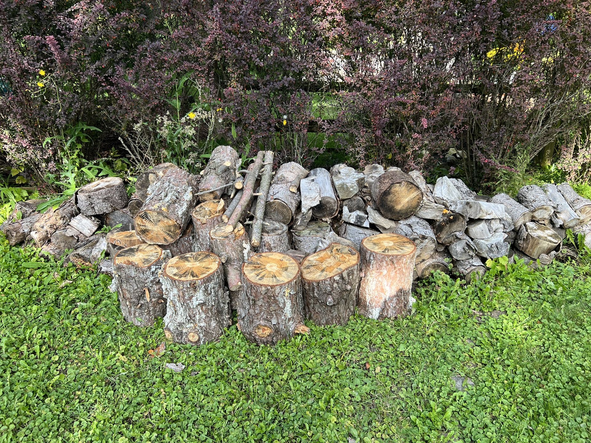 Firewood