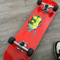 Skate Board 