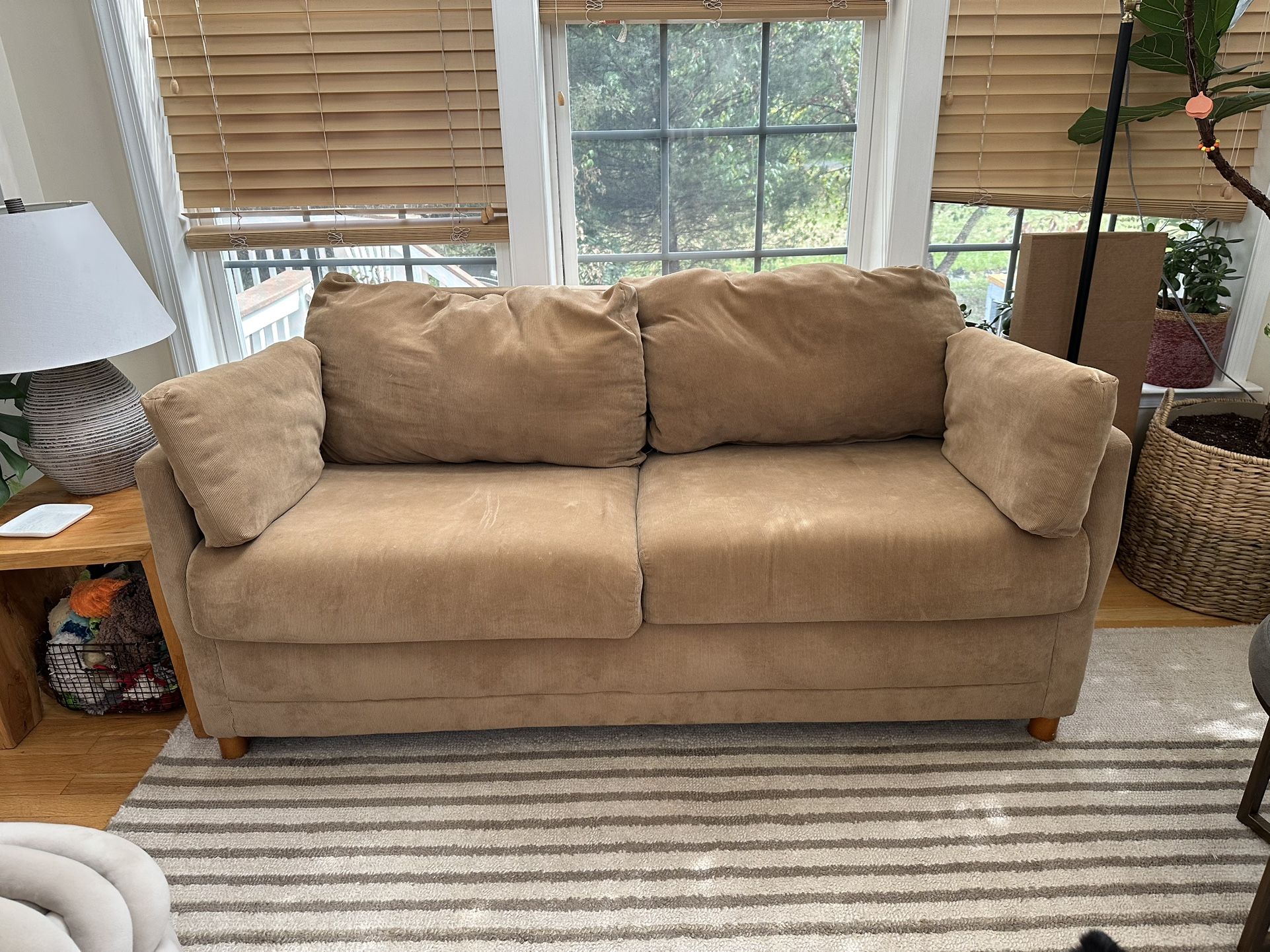 FREE Pullout Sofa (Loveseat)