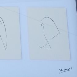 Pablo Picasso 5 Animal Sketches Licensed Print Olunda Denmark