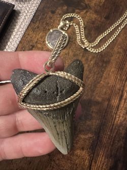 Megladon & 10k Gold Wrapped Pendant