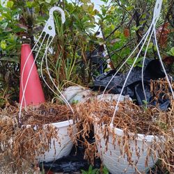 Planter Hangers 2