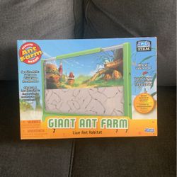 Ant Farm