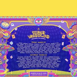 Beyond Wonderland Vip Wristband